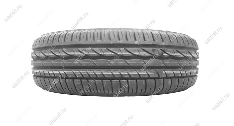 Bridgestone ER300 (205/55R16)           А 